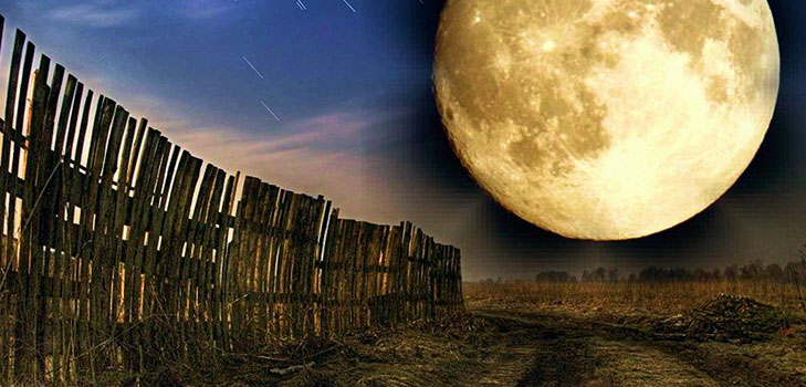 Semnificația lunară a semințelor pentru luna aprilie 2017