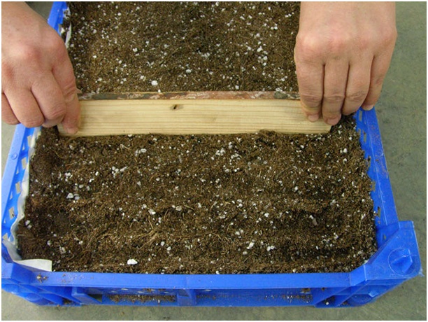 excavarea solului