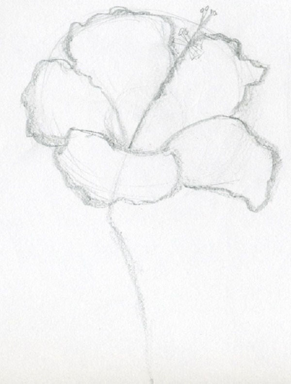 Figura Flori