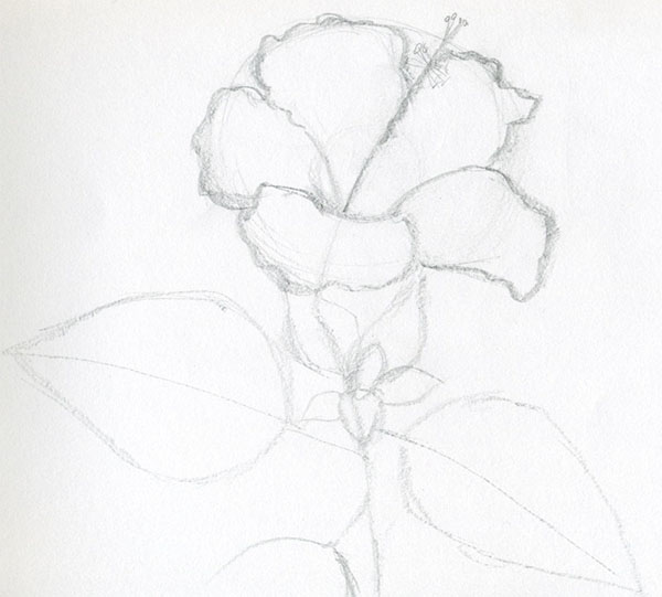 Figura Flori