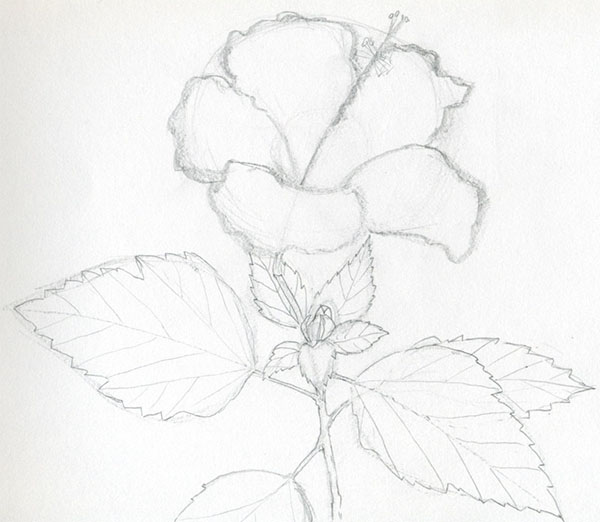 Figura Flori