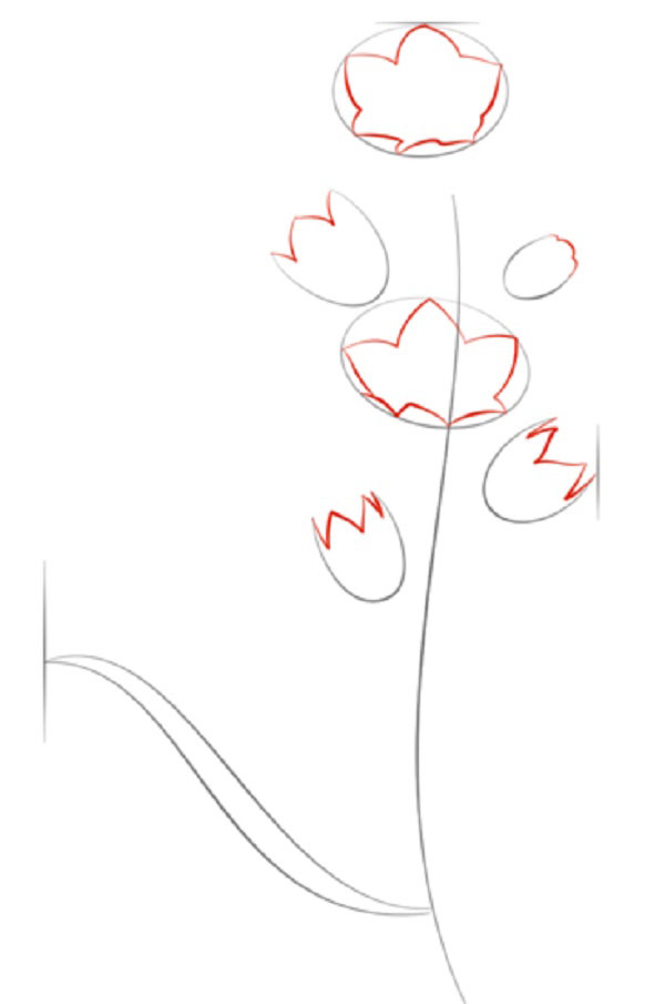 Figura Flori