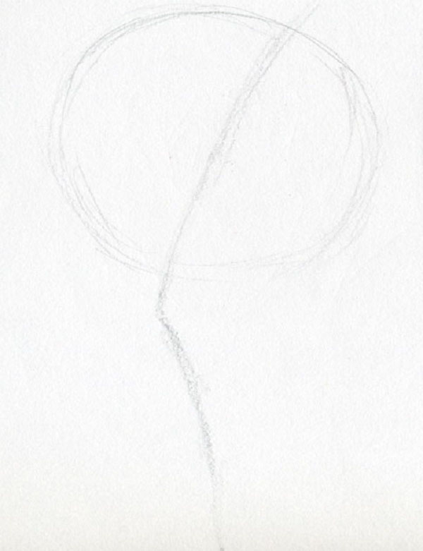 Figura Flori