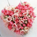 Inima de trandafiri pe 14 februarie