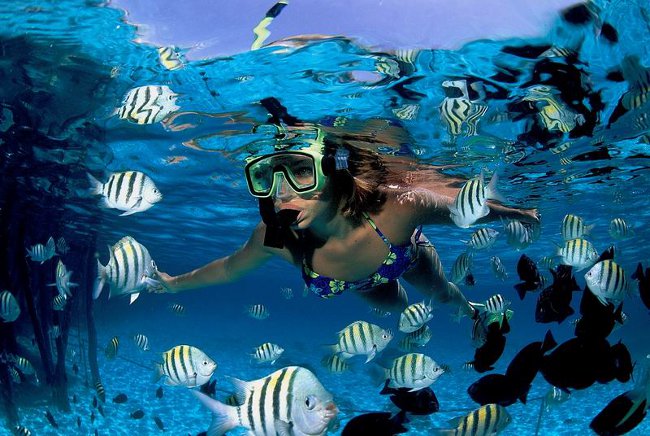de snorkeling de snorkeling