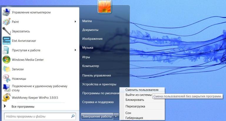ferestre de program
