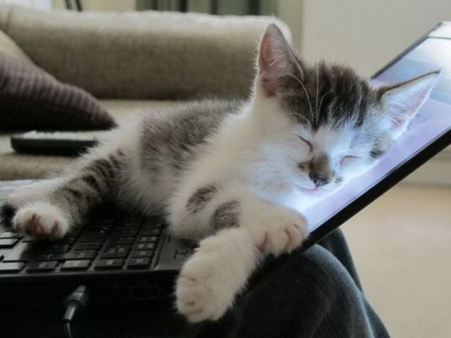 Cum să opriți modul sleep în Windows 7