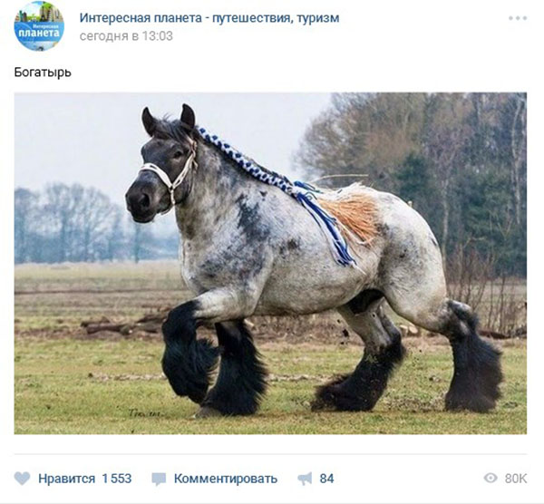 Cum sunt vederile în VC