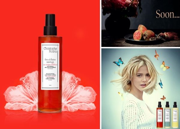 Franceză chic: bucle magnifice de Christophe Robin