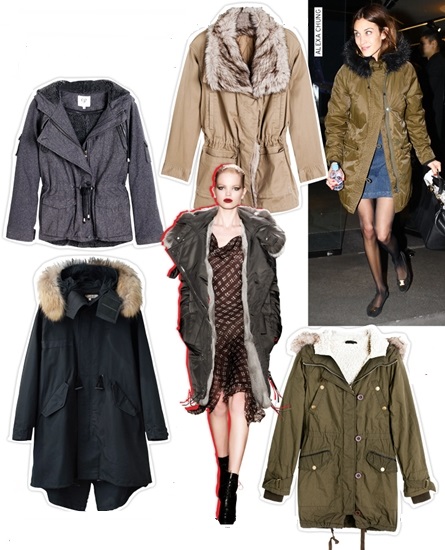 Moda parcuri de iarna 2013-2014: fotografie