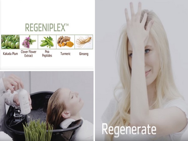 Rezistența părului de la rădăcini la sfaturi: Paul Mitchell Tea Tree Scalp Care series