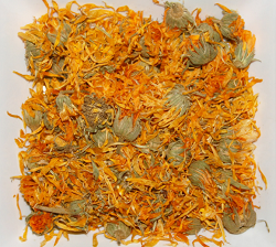 Marigold perfuzie