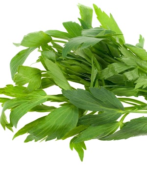 Infuzarea iubirii