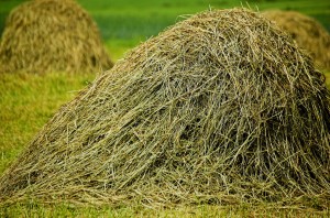 Tratamentul artrozei folclorice a articulației genunchiului