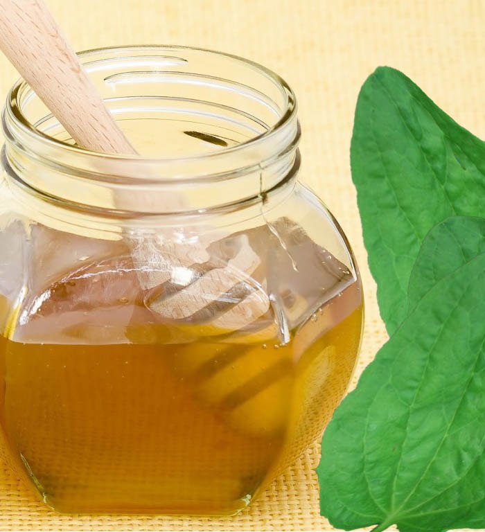 Tratamentul ulcerului gastric cu remedii folclorice