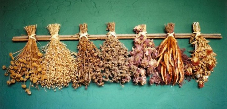 Aceste plante te vor proteja pe tine și casa ta de ochiul rău: Amulete de legume de la stricăciune