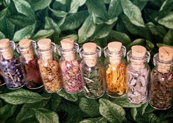 Aceste plante te vor proteja pe tine și casa ta de ochiul rău: Amulete de legume de la stricăciune