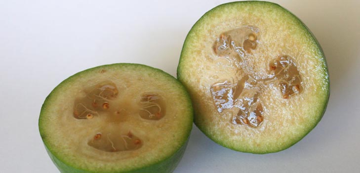 Feijoa - proprietăți utile, beneficii și prejudicii ale feijoa