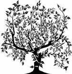 Genealogie, istorie familială. Recensămintele locale