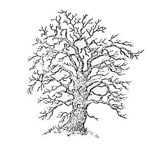 Genealogie, istorie familială. Revizsky povești