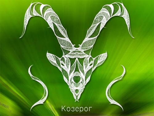 desen pentru femei ibex