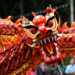 Cum să întâlniți Anul Dragonului