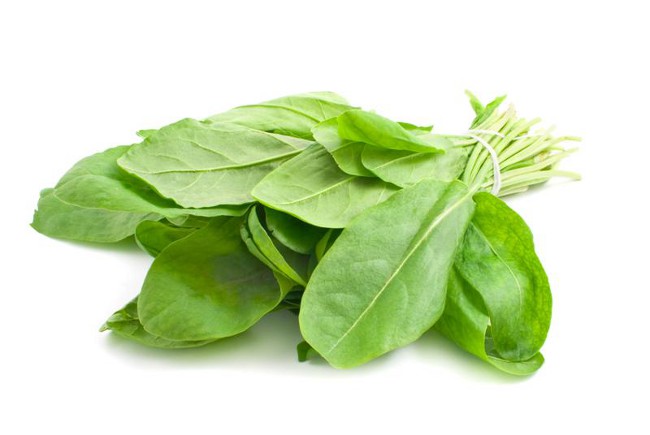 Cum să cumpărați sorrel pentru iarnă?