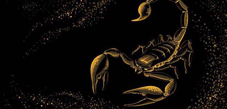 Care sunt semnele zodiacului pentru un om din Scorpion?