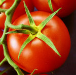 Conservarea tomatelor