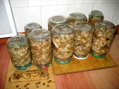 Conserve de ciuperci pentru iarnă