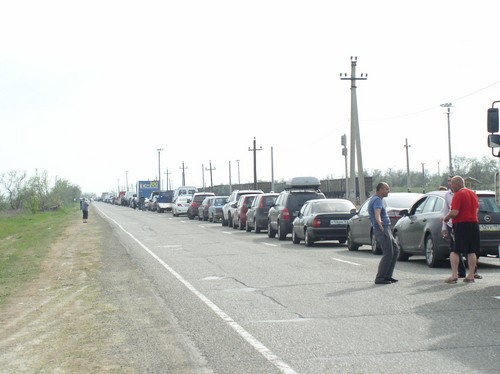 Mergem în Crimeea cu mașina cu un câine