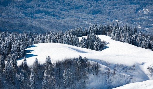Vremea în Sochi în februarie 2017