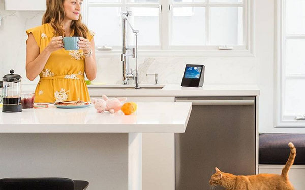Smart home acoustics: Sistemul Amazon Echo Show