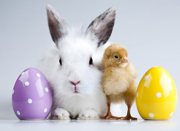 Sms cu Easter 2017