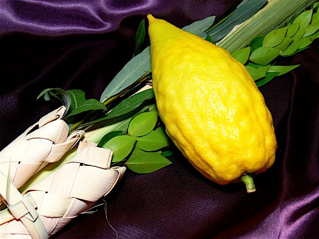 Sukot: Sărbătoarea lui Shalashi