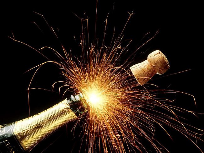 Toast pentru anul nou 2011