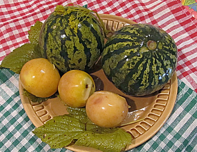 Salate verde pe iarba în butoaie Salate verde pe iarba în butoaie