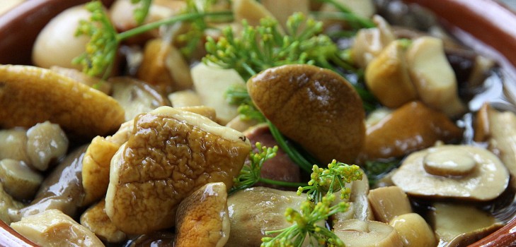 Ciuperci albe: retete pentru prepararea de feluri de mâncare delicioase