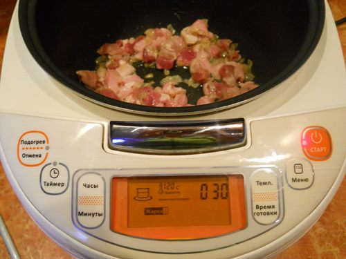 Carne de porc într-un sos cremos într-o multivarcă