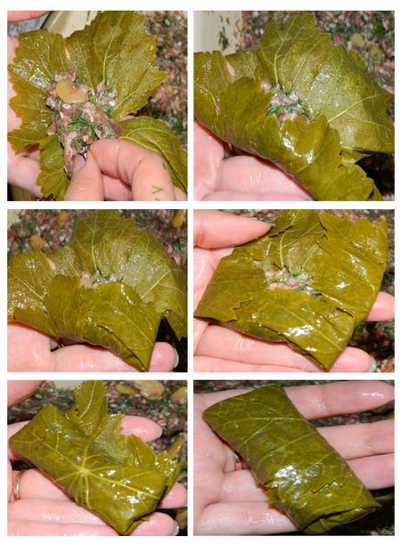 Cum să gătești dolma acasă Cum să gătești dolma acasă
