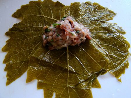 Cum să gătești dolma acasă Cum să gătești dolma acasă
