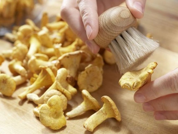 Cum să gătești chanterelles într-o tigaie