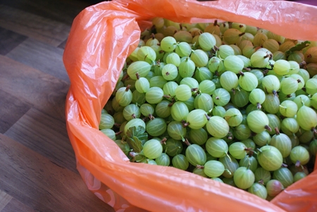 Cum se prepară compotul de agrișă