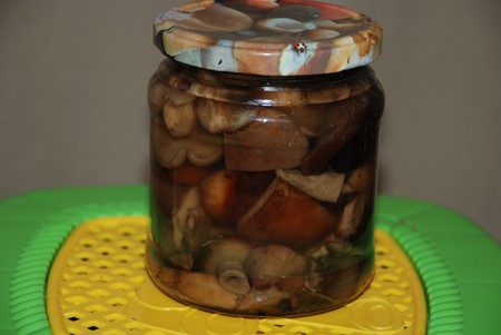 Solim ciuperci porcine pentru iarnă Solim ciuperci porcine pentru iarnă