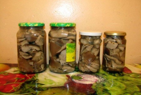 Solim ciuperci porcine pentru iarnă