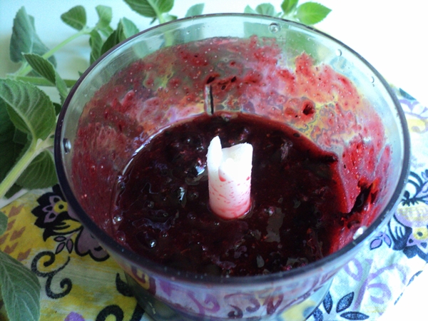 Cum se îngheață coacăzul negru sub formă de sorbet