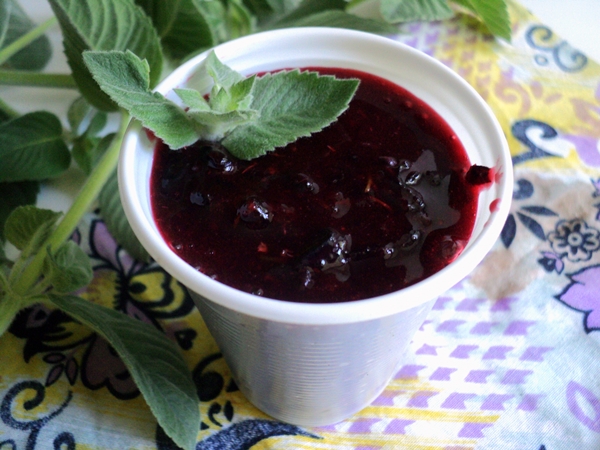Cum se îngheață coacăzul negru sub formă de sorbet