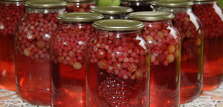 Compote de fructe de măsline pentru iarnă