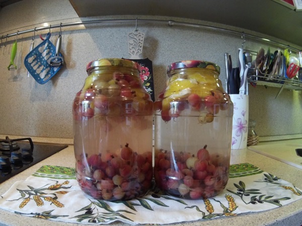 Compote de fructe de măsline pentru iarnă