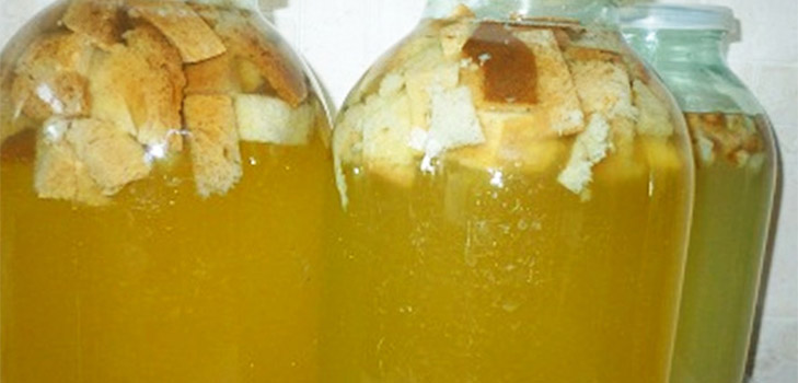 Rețete delicioase și simple de quass pe mesteacăn Rețete delicioase și simple de quass pe mesteacăn